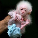 1223326222_20080918170659288_1