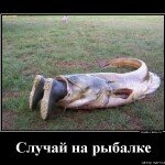 1357401316_Sluchay-na-rybalke_vsyako-razno.ru
